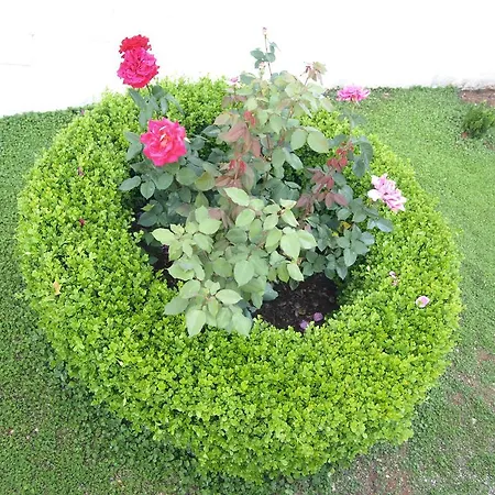 Danijela Apartament Lumbarda