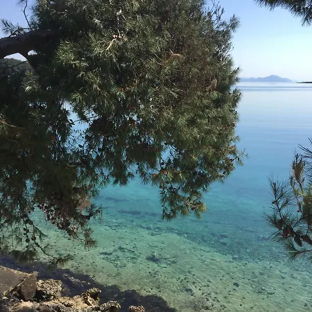 Daire Danijela Lumbarda