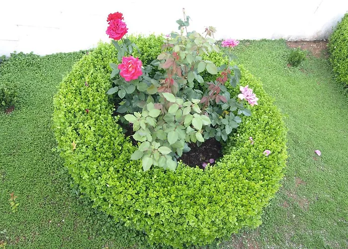 Danijela 아파트 룸바르다